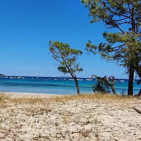 Pinarello Climatisee Avec Piscine Chauffee Дом отдыха *