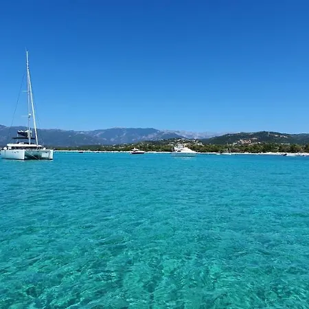 Pinarello Climatisee Avec Piscine Chauffee *