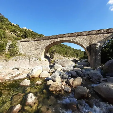 Pinarello Climatisee Avec Piscine Chauffee *