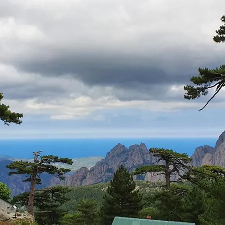 Pinarello Climatisee Avec Piscine Chauffee *