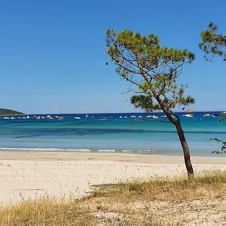 Pinarello Climatisee Avec Piscine Chauffee Vakantiehuis Sainte-Lucie de Porto-Vecchio