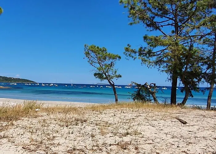 Pinarello Climatisee Avec Piscine Chauffee Casa de Férias *