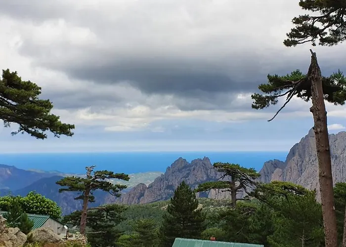 Pinarello Climatisee Avec Piscine Chauffee *