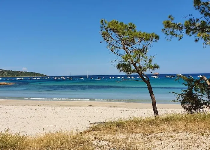 Pinarello Climatisee Avec Piscine Chauffee Casa de Férias Sainte-Lucie de Porto-Vecchio